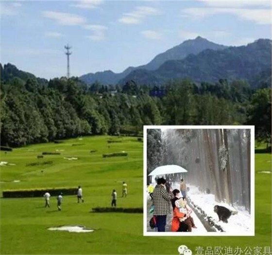 走进打造了全国文明村的宝山集团办公室-沐鸣2解决方案