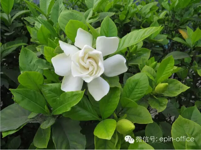 沐鸣22015年第二届文化节 沐鸣22015年第二届文化节