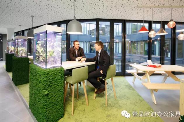 为什么办公室里一定要养植物？-沐鸣2