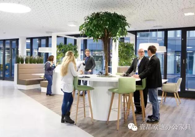 为什么办公室里一定要养植物?-沐鸣2 为什么办公室里一定要养植物?-沐鸣2