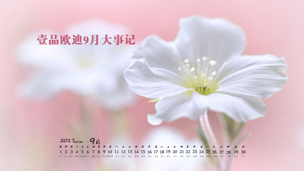 金秋九月，赢咖8又有新鲜事发生了